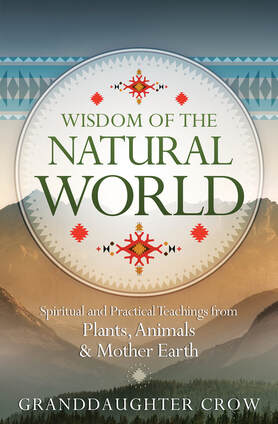 Wisdom of the Natural World